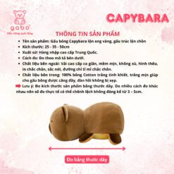 Gấu Trúc Lộn Chồn - Capybara Biến Hình 2in1 Hàng Quảng Châu