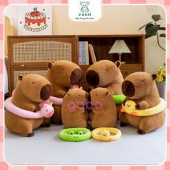 Capybara Mặc Đồ Đi Biển - Capybara Phao Vịt Đeo Kính