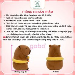 Capybara Mặc Đồ Đi Biển - Capybara Phao Vịt Đeo Kính