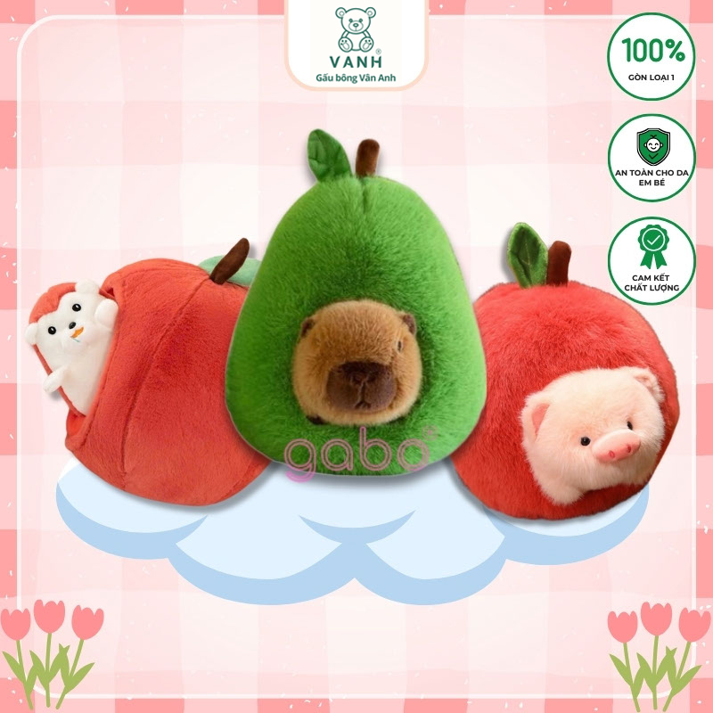Gấu Bông Capybara Trong Quả Bơ