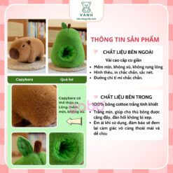 Gấu Bông Capybara Trong Quả Bơ – Heo Nhím Trong Quả Táo Đáng Yêu 8 Gấu Bông Capybara Trong Quả Bơ