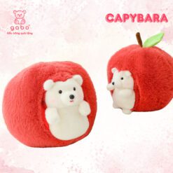 Gấu Bông Capybara Trong Quả Bơ – Heo Nhím Trong Quả Táo Đáng Yêu