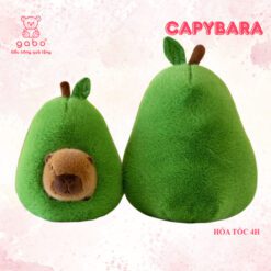 Gấu Bông Capybara Trong Quả Bơ – Heo Nhím Trong Quả Táo Đáng Yêu