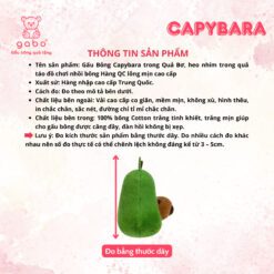 Gấu Bông Capybara Trong Quả Bơ – Heo Nhím Trong Quả Táo Đáng Yêu