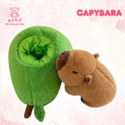 Gấu Bông Capybara Trong Quả Bơ – Heo Nhím Trong Quả Táo Đáng Yêu