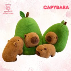 Gấu Bông Capybara Trong Quả Bơ – Heo Nhím Trong Quả Táo Đáng Yêu