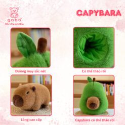 Gấu Bông Capybara Trong Quả Bơ – Heo Nhím Trong Quả Táo Đáng Yêu