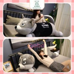 Gấu Bông Chó Husky - Chó Ngáo Size 1M5 - Chó Sói Ngáo Đáng Yêu 4 Gấu Bông Chó Husky - Chó Ngáo Size 1M5