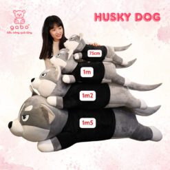 Gấu Bông Chó Husky - Chó Ngáo Size 1M5, Hướng Dẫn Chọn Kích Thước Gấu Bông Chó Husky Phù Hợp