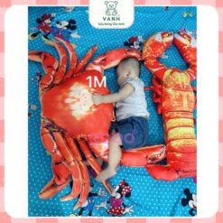 Gối Ôm 3D Con Cua - Gối Ôm Cho Bé Ngủ 5 Gối Ôm 3D Con Cua - Gối Ôm Cho Bé Ngủ