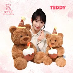 Gấu Bông Teddy Ôm Bánh Sinh Nhật, Gấu Bông Tặng Sinh Nhật Món Quà Dễ Thương Cho Bé