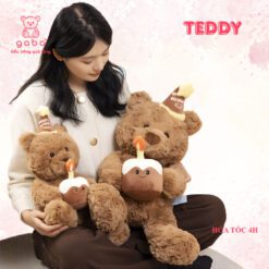 Gấu Bông Teddy Ôm Bánh Sinh Nhật, Gấu Bông Tặng Sinh Nhật Món Quà Dễ Thương Cho Bé