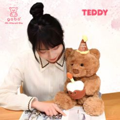 Gấu Bông Teddy Ôm Bánh Sinh Nhật, Gấu Bông Tặng Sinh Nhật Món Quà Dễ Thương Cho Bé
