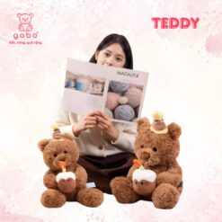 Gấu Bông Teddy Ôm Bánh Sinh Nhật, Gấu Bông Tặng Sinh Nhật Món Quà Dễ Thương Cho Bé