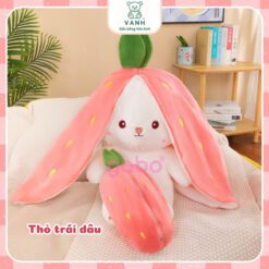 🐰 Gấu Bông Thỏ Trong Quả Dâu & Củ Cà Rốt – Mẫu Quà Tặng Siêu Dễ Thương 2 Gấu Bông Thỏ Trong Quả Dâu