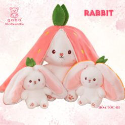 Gấu Bông Thỏ Trong Quả Dâu & Củ Cà Rốt