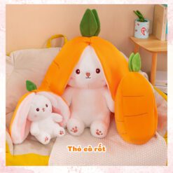 Gấu Bông Thỏ Trong Quả Dâu & Củ Cà Rốt