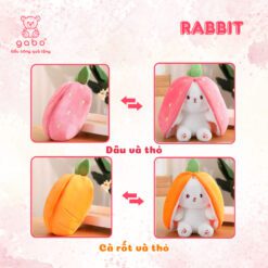 Gấu Bông Thỏ Trong Quả Dâu & Củ Cà Rốt