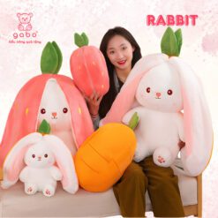 Gấu Bông Thỏ Trong Quả Dâu & Củ Cà Rốt