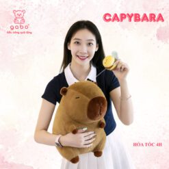 Gấu Bông Capybara Rút Ong, Chuột Mũ Ong, Capybara Ong