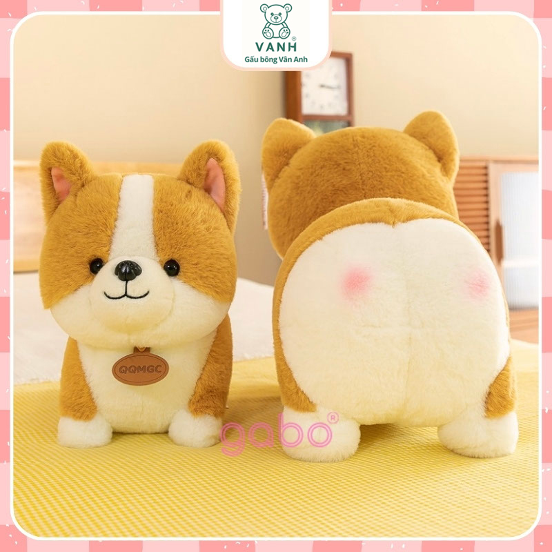 Top 7 Mẫu Gấu Bông Chó Được Ưa Chuộng Nhất 6 cho corgi chan ngan 5 1
