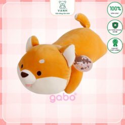 Sản phẩm mới nhất