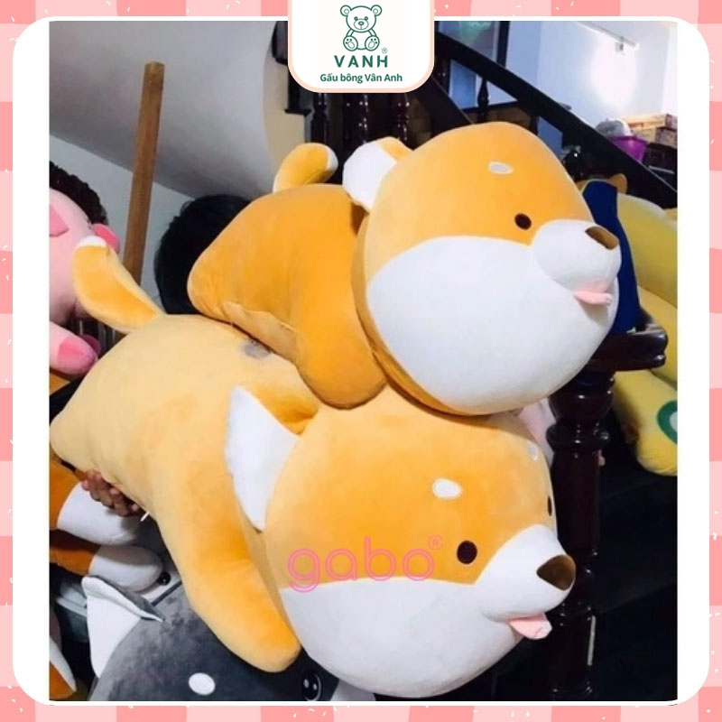 Gấu Bông Chó Shiba Vàng Mắt Híp ,Shiba Mắt Tròn Siêu Cute 9 Top 7 Mẫu Gấu Bông Chó Được Ưa Chuộng Nhất. Gấu Bông Chó Shiba Vàng Mắt Híp ,Shiba Mắt Tròn Siêu Cute