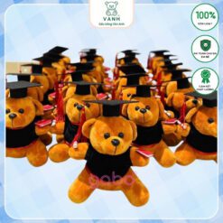 Gấu Bông Gấu Tốt Nghiệp - Gấu Mặc Áo Cử Nhân