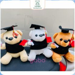 Gấu Bông Gấu Tốt Nghiệp - Gấu Mặc Áo Cử Nhân 2 Gấu Bông Gấu Tốt Nghiệp - Gấu Mặc Áo Cử Nhân