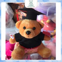 Gấu Bông Gấu Tốt Nghiệp - Gấu Mặc Áo Cử Nhân 5 Gấu Bông Gấu Tốt Nghiệp - Gấu Mặc Áo Cử Nhân