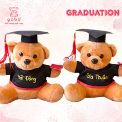 Gấu Bông Gấu Tốt Nghiệp - Gấu Mặc Áo Cử Nhân