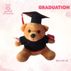 Gấu Bông Gấu Tốt Nghiệp - Gấu Mặc Áo Cử Nhân