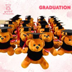 Gấu Bông Gấu Tốt Nghiệp - Gấu Mặc Áo Cử Nhân