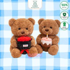 Gấu Teddy Ôm Hoa Hồng Có Ngăn Đựng Quà – Quà Sinh Nhật, Valentine, Kỷ Niệm