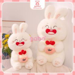 Gấu Bông Thỏ Trắng Ôm Bánh Dâu, Thỏ Mặt Cười Cầm Bánh 1 Gấu Bông Thỏ Trắng Ôm Bánh Dâu, Thỏ Mặt Cười Cầm Bánh