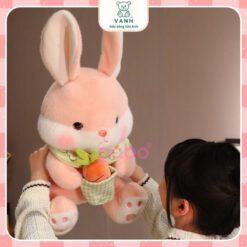 Gấu Bông Thỏ Yếm Hoa Cầm Rổ Cà Rốt 3 Gấu Bông Gấu Trúc Mũ Rồng, Panda Cosplay Rồng