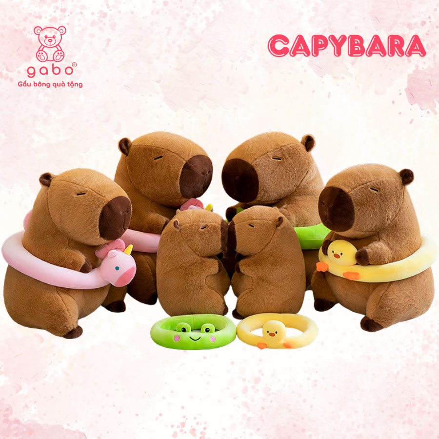 Gấu Bông Capybara Mặc Đồ Đi Biển, Capybara Phao Vịt Đeo Kính 11 Gấu Bông Capybara Mặc Đồ Đi Biển, Capybara Phao Vịt Đeo Kính