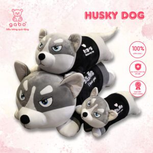 Chó Husky Chó Ngáo 1m5